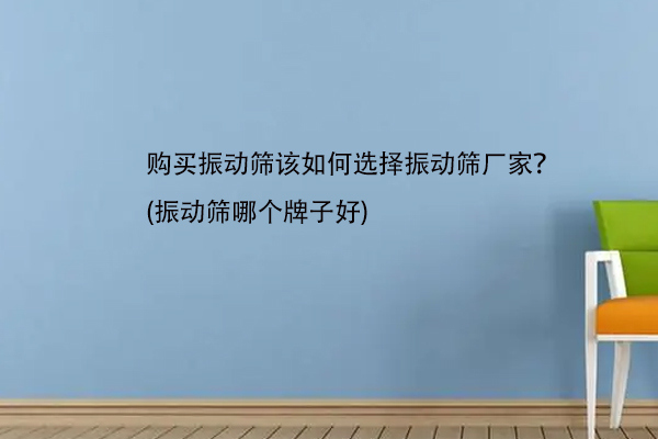 購買振動篩該如何選擇振動篩廠家？(振動篩哪個牌子好)